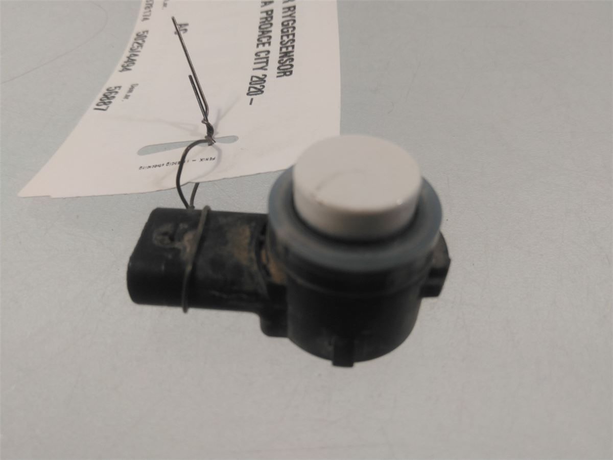 Sensor Ryggesensor – bilde 1
