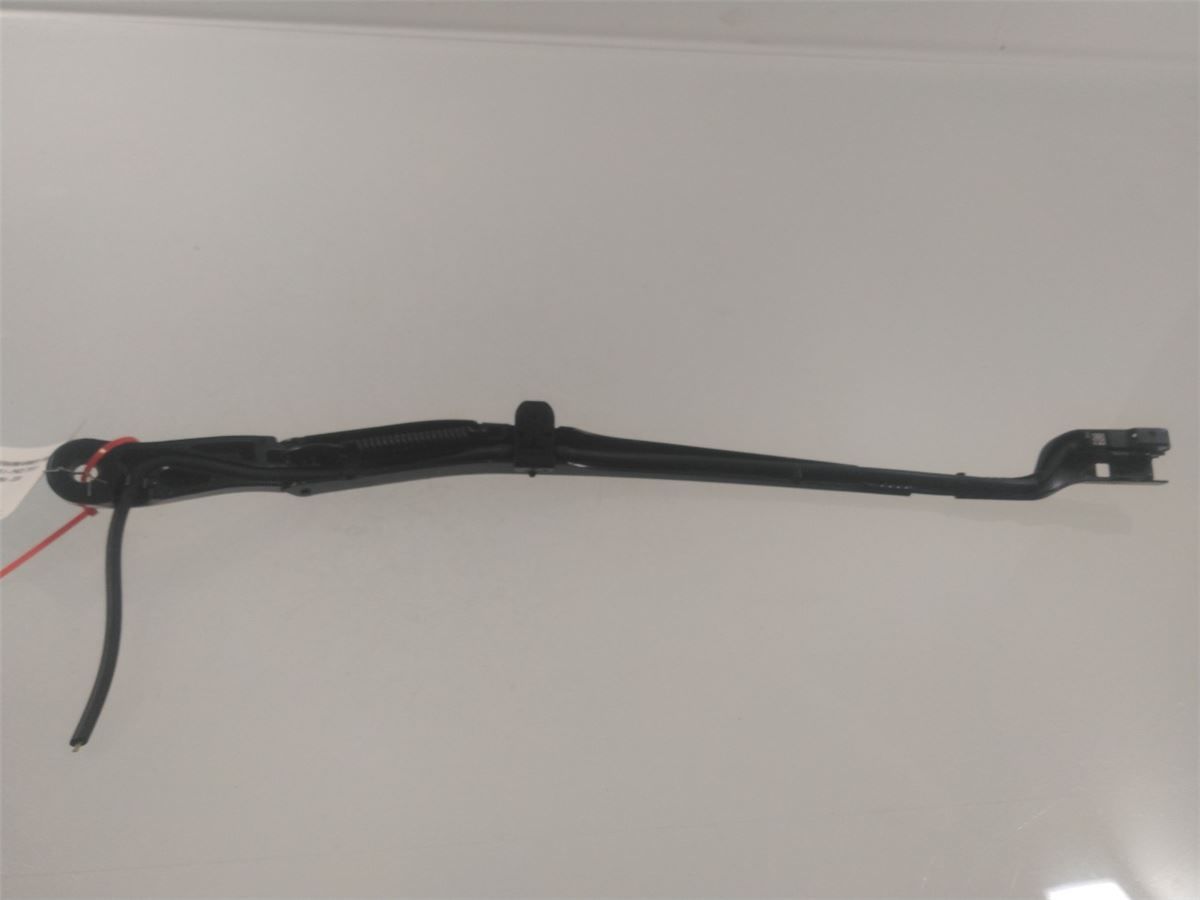Viskerarm / Armer Frontrute – bilde 3