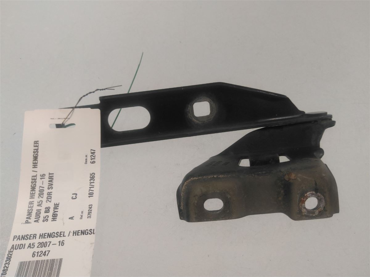 Panser Hengsel / Hengsler – bilde 1