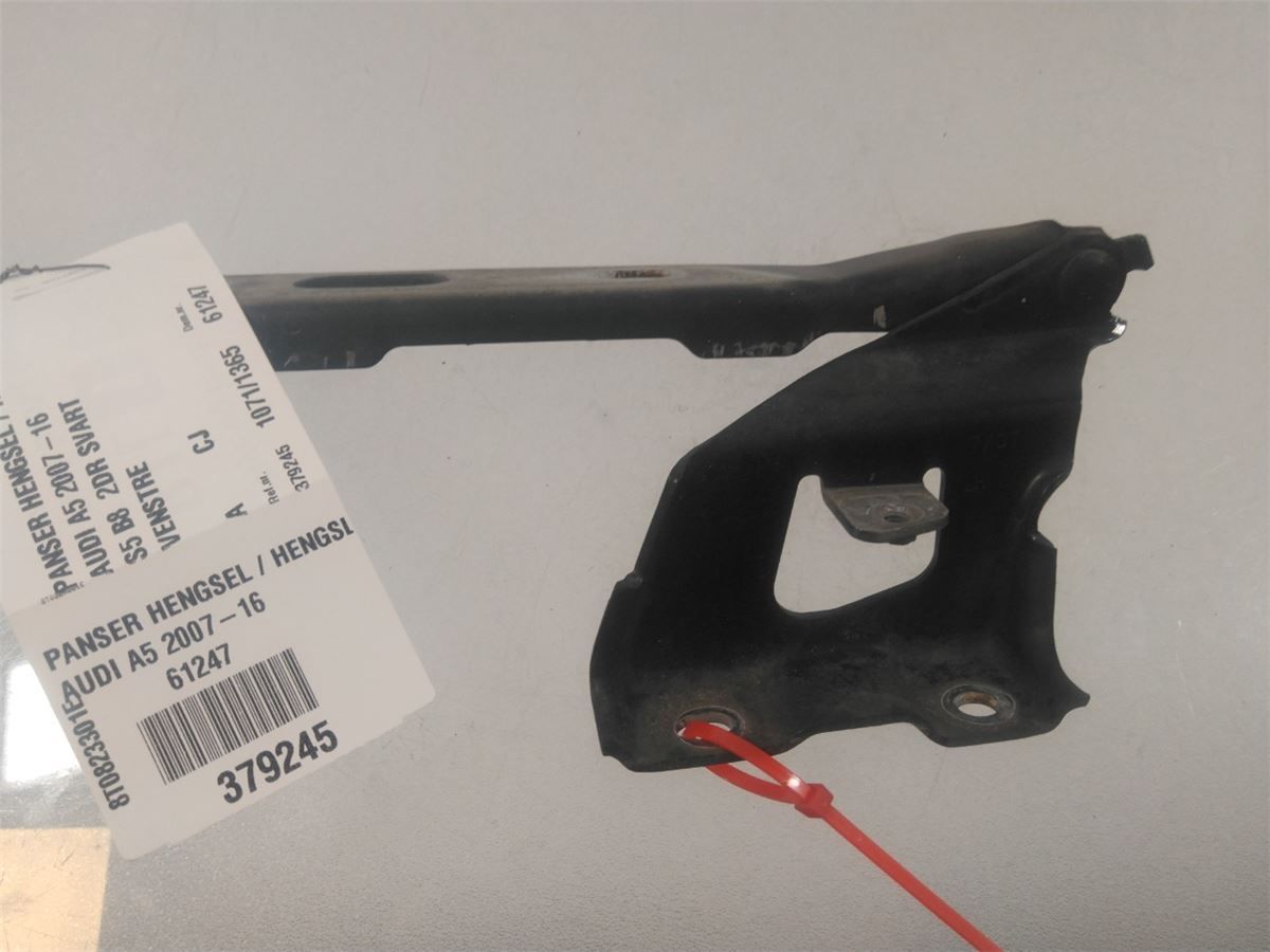 Panser Hengsel / Hengsler – bilde 2