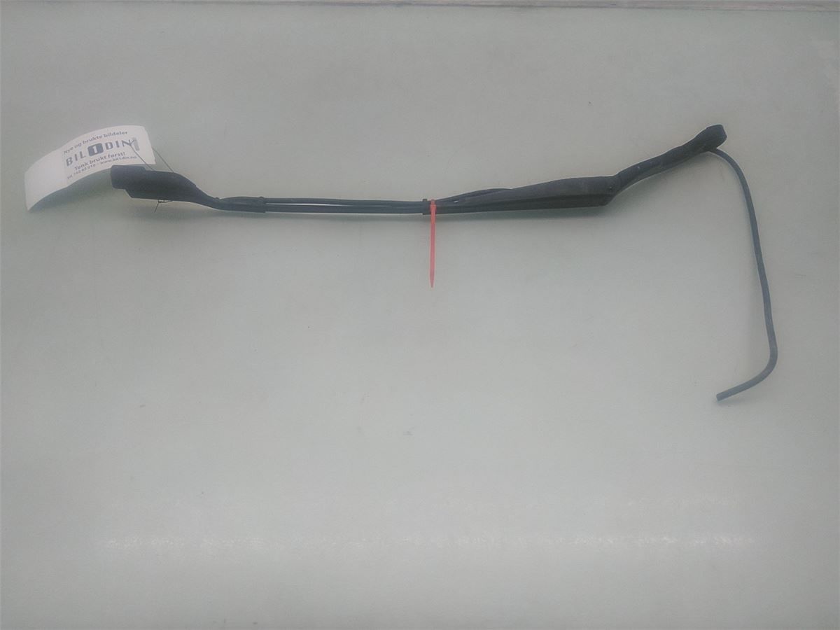 Viskerarm / Armer Frontrute – bilde 1