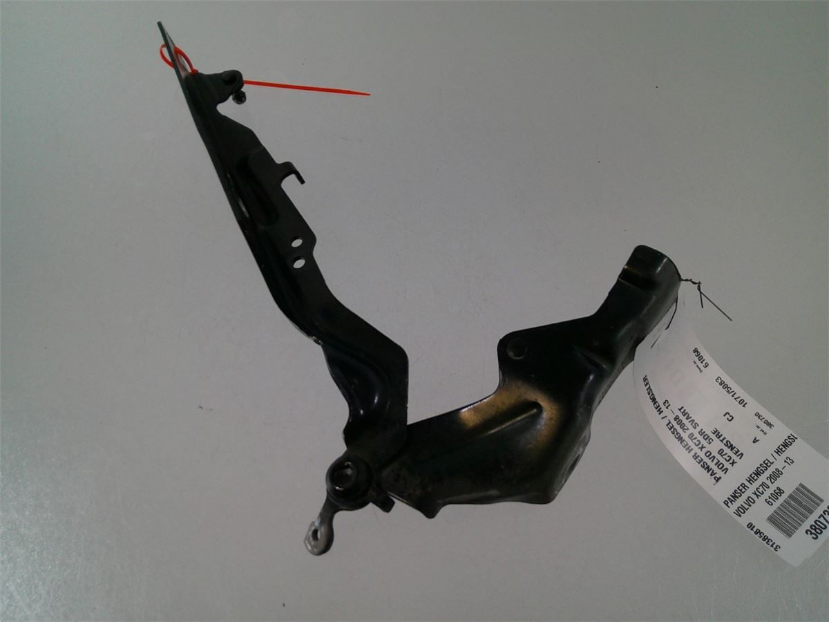 Panser Hengsel / Hengsler – bilde 1