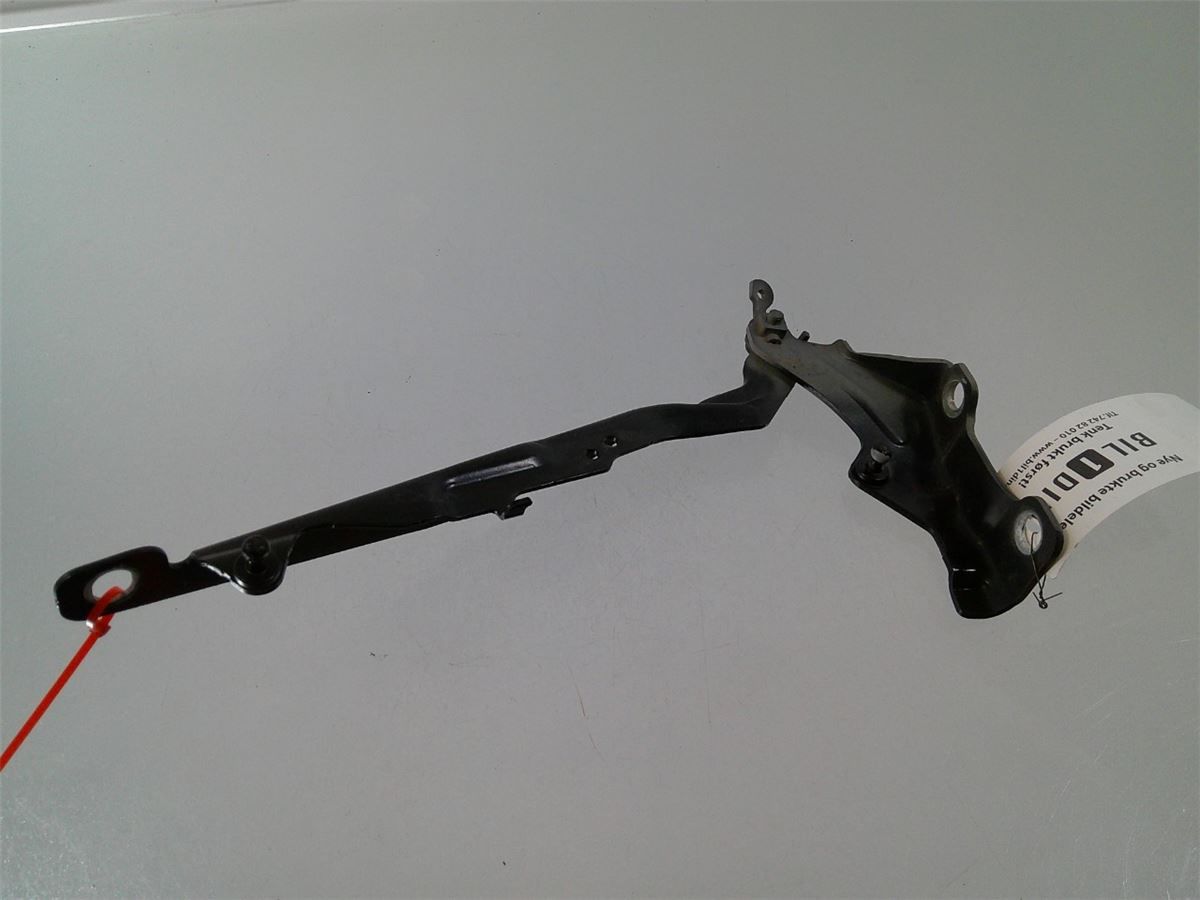 Panser Hengsel / Hengsler – bilde 2