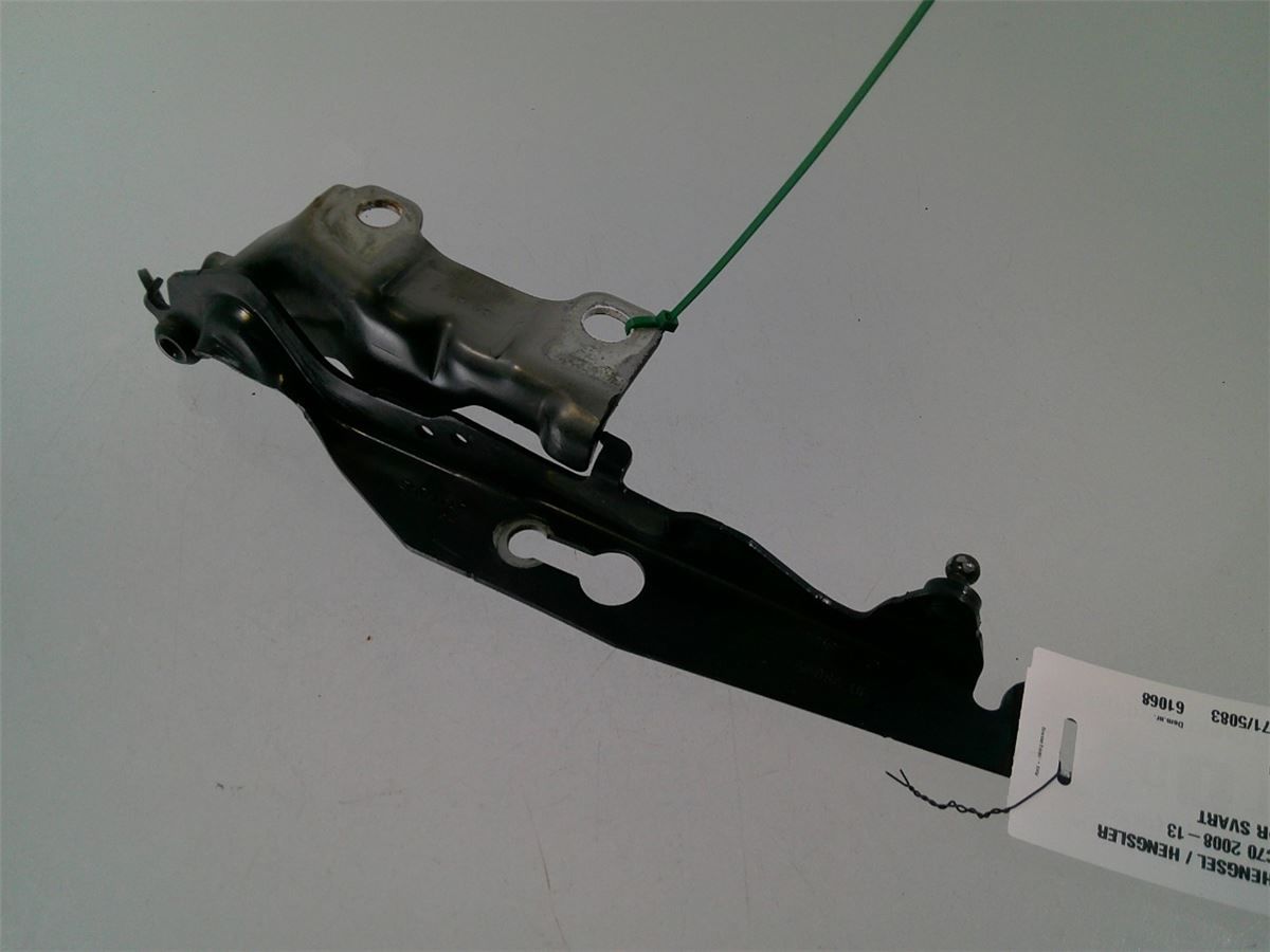 Panser Hengsel / Hengsler – bilde 1