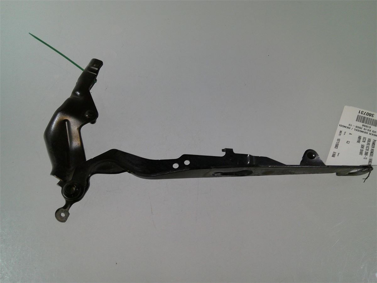 Panser Hengsel / Hengsler – bilde 4