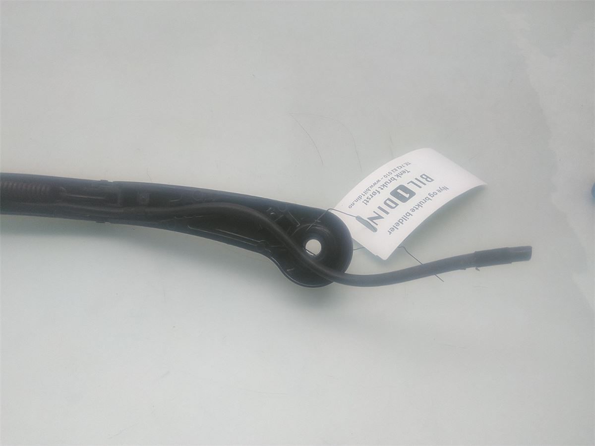 Viskerarm / Armer Frontrute – bilde 2
