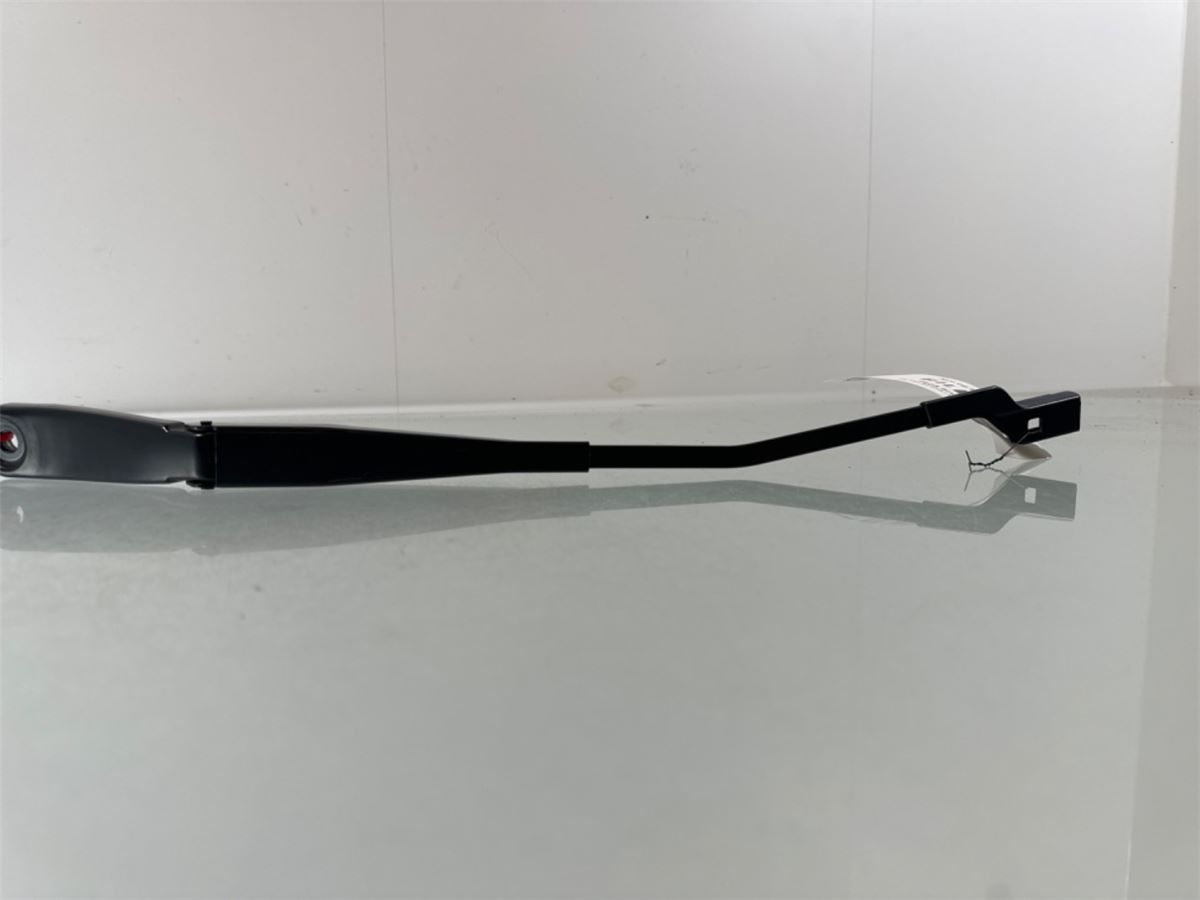 Viskerarm / Armer Frontrute – bilde 1