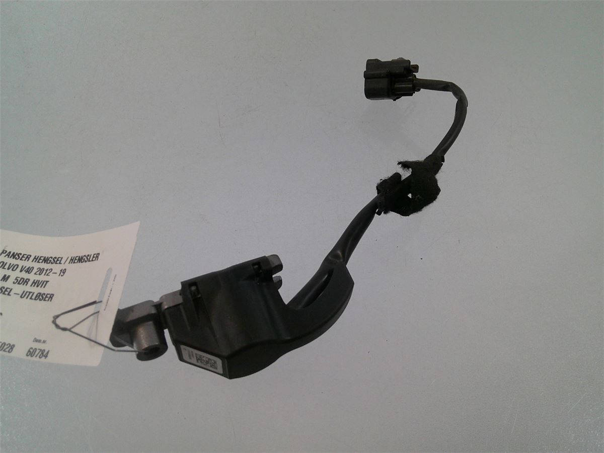 Panser Hengsel / Hengsler – bilde 1