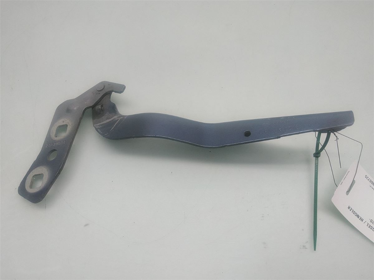 Panser Hengsel / Hengsler – bilde 1