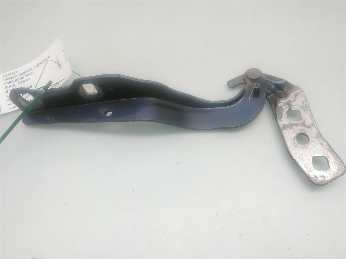 Panser Hengsel / Hengsler – bilde 2