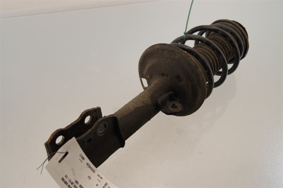 Fjærbein Foran Høyre – bilde 1