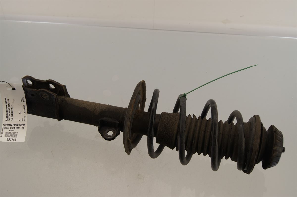 Fjærbein Foran Høyre – bilde 2