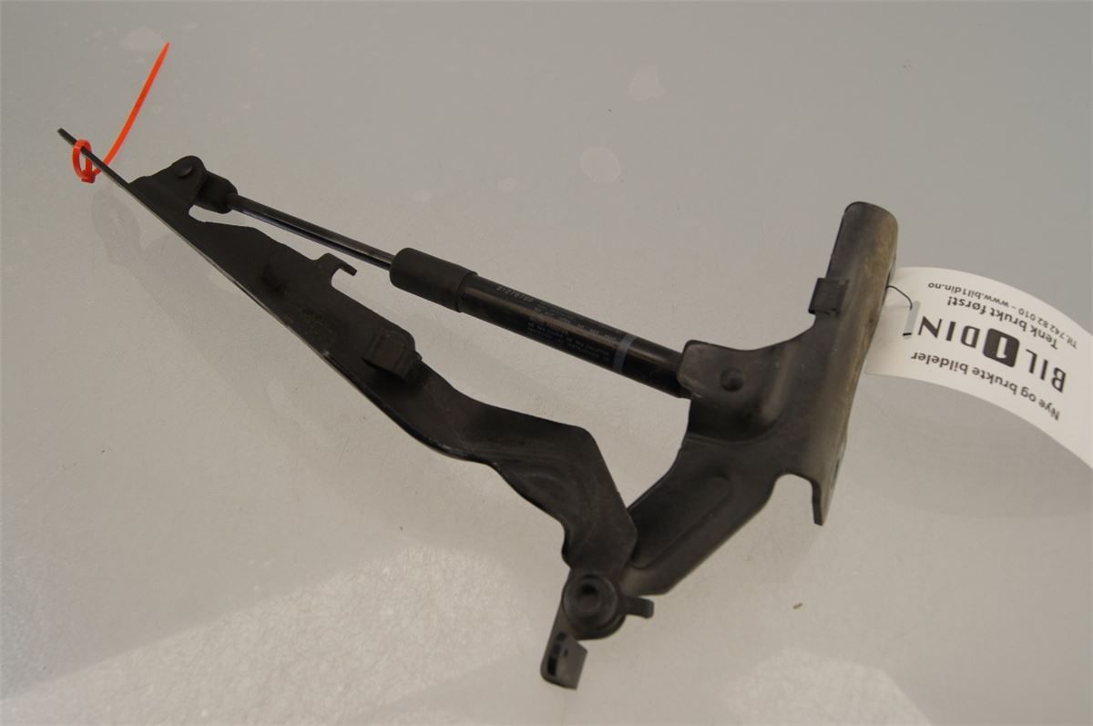 Panser Hengsel / Hengsler – bilde 2