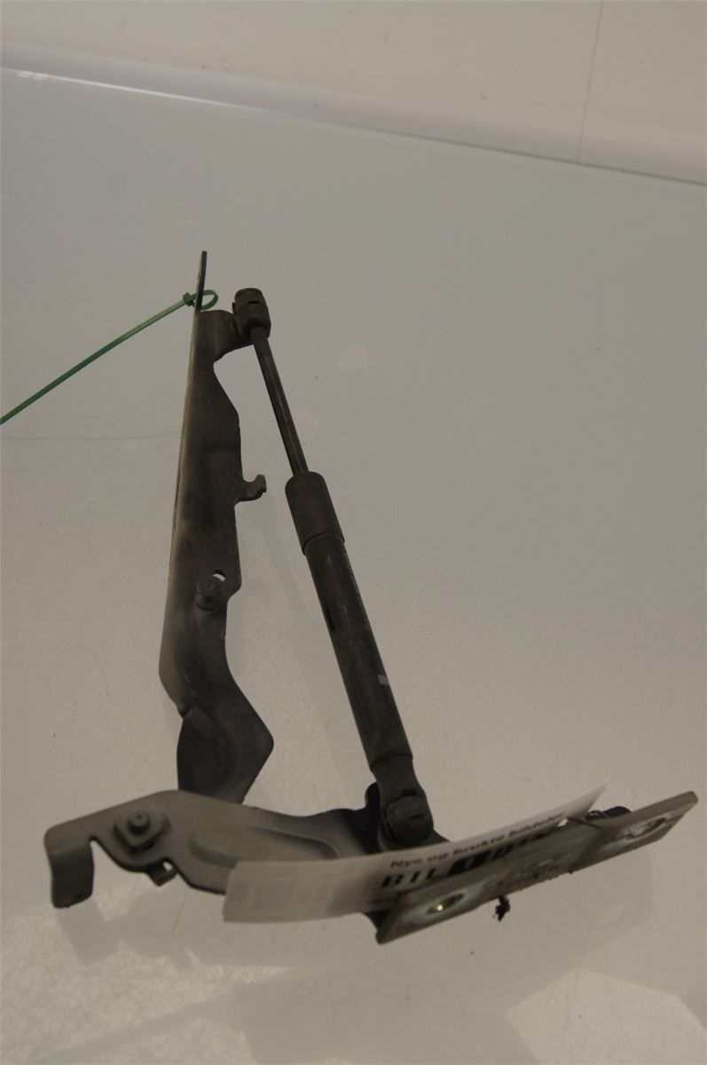 Panser Hengsel / Hengsler – bilde 3