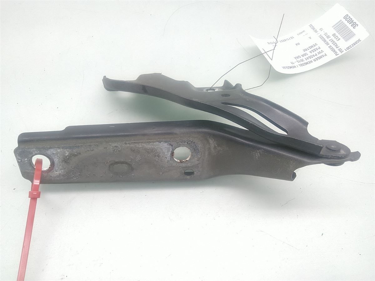 Panser Hengsel / Hengsler – bilde 2