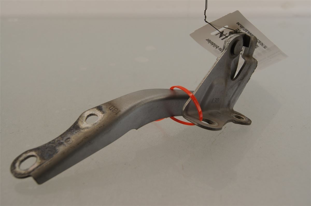 Panser Hengsel / Hengsler – bilde 1