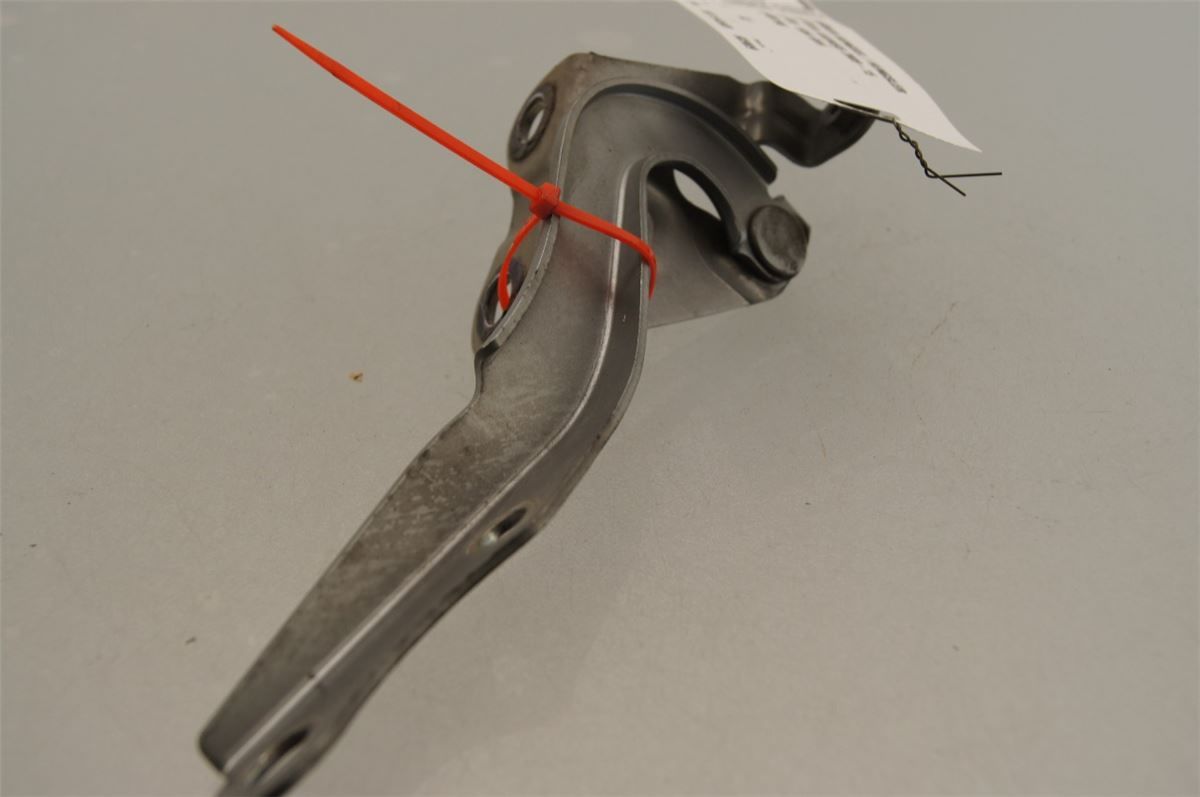 Panser Hengsel / Hengsler – bilde 3