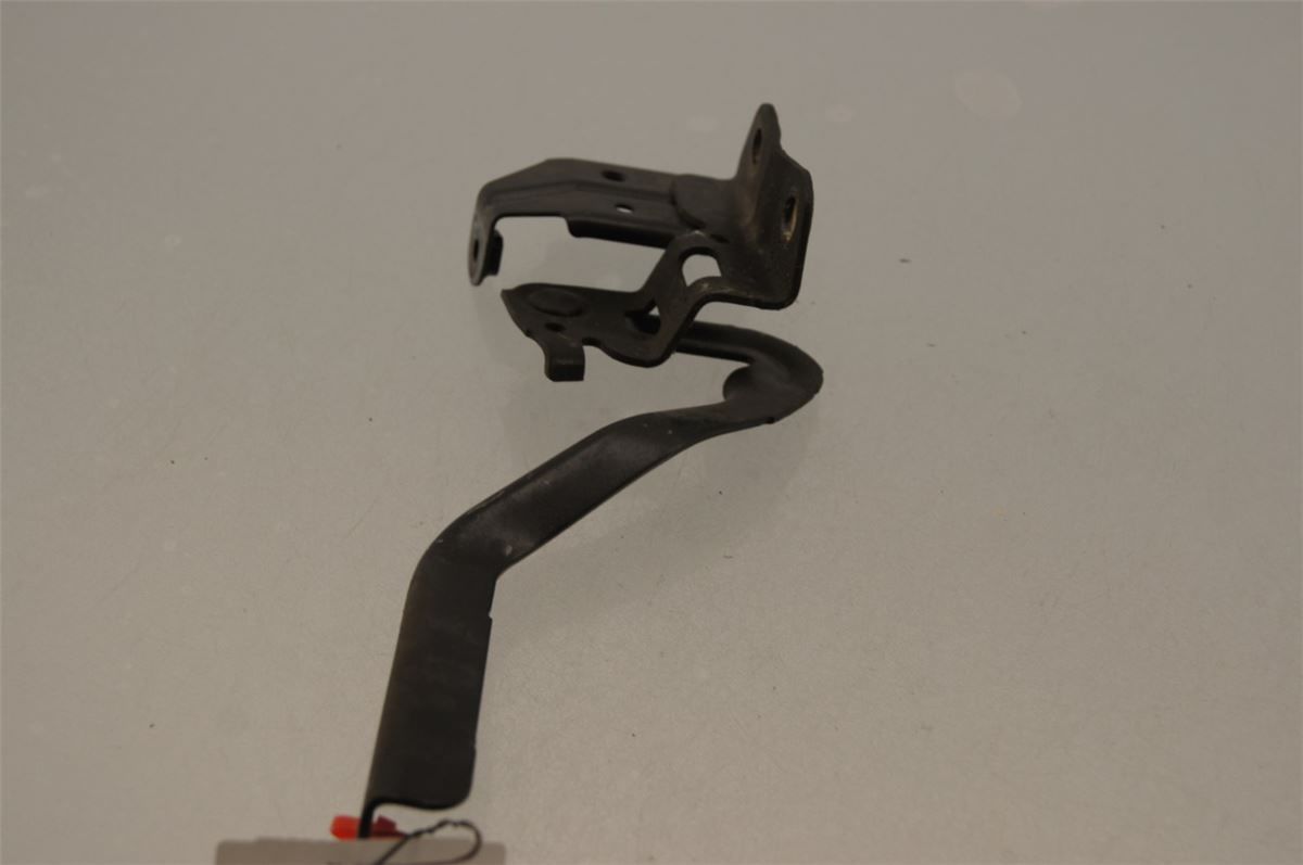 Panser Hengsel / Hengsler – bilde 1