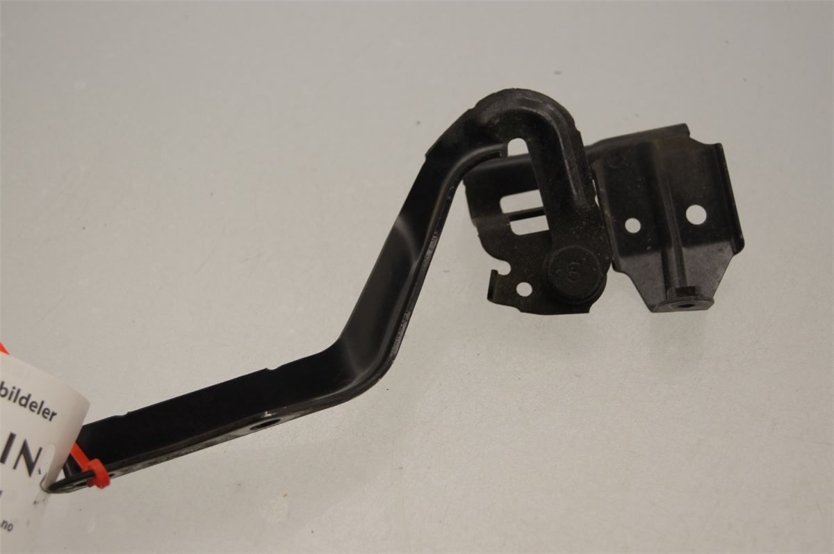 Panser Hengsel / Hengsler – bilde 2
