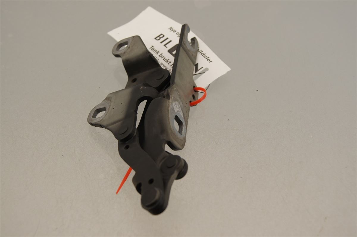 Panser Hengsel / Hengsler – bilde 2