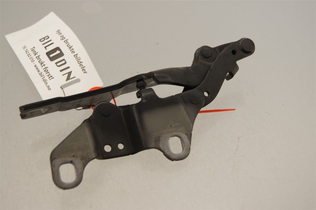 Panser Hengsel / Hengsler – bilde 3
