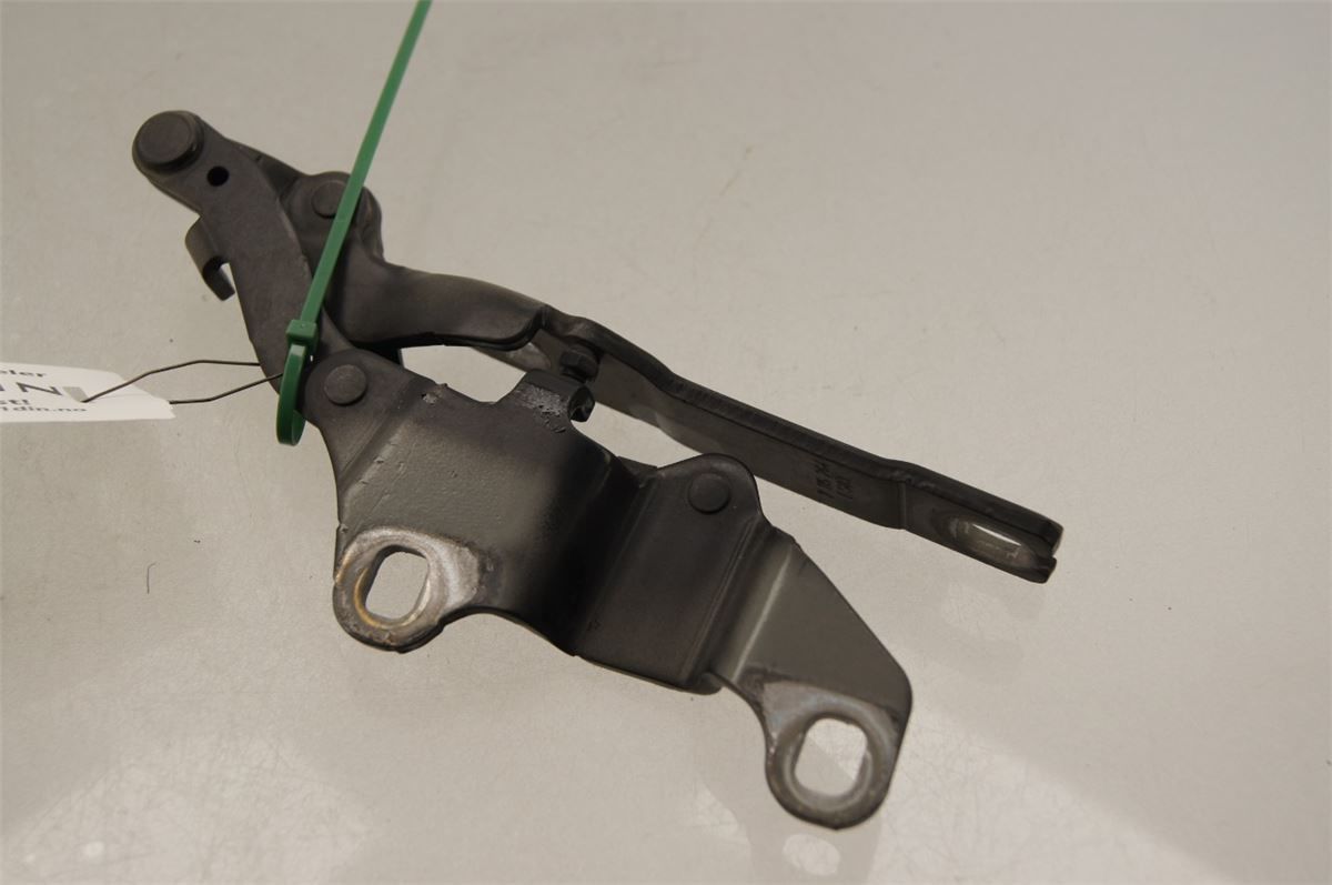 Panser Hengsel / Hengsler – bilde 2