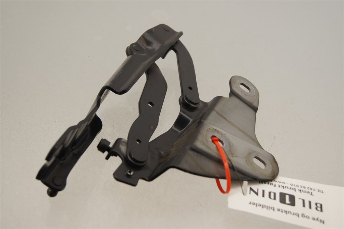 Panser Hengsel / Hengsler – bilde 2