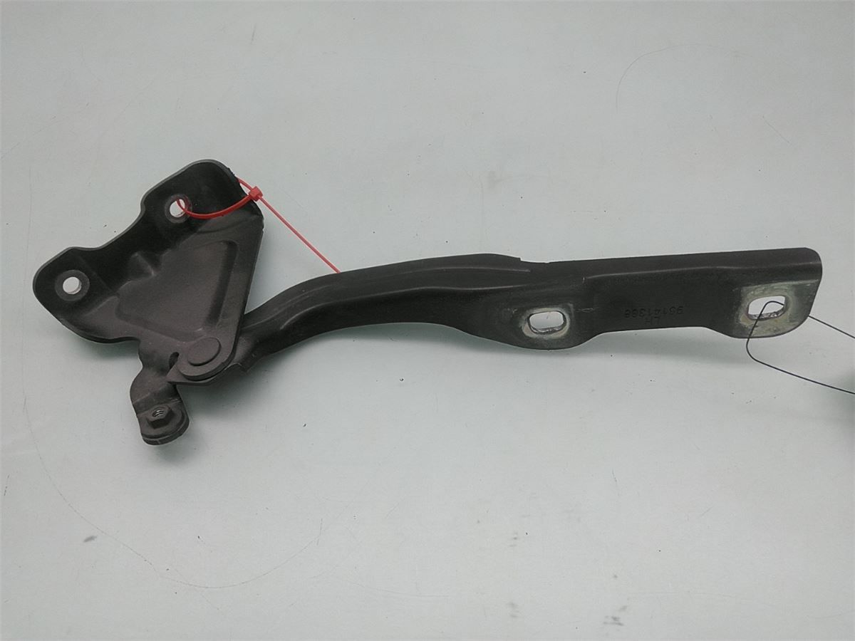 Panser Hengsel / Hengsler – bilde 1