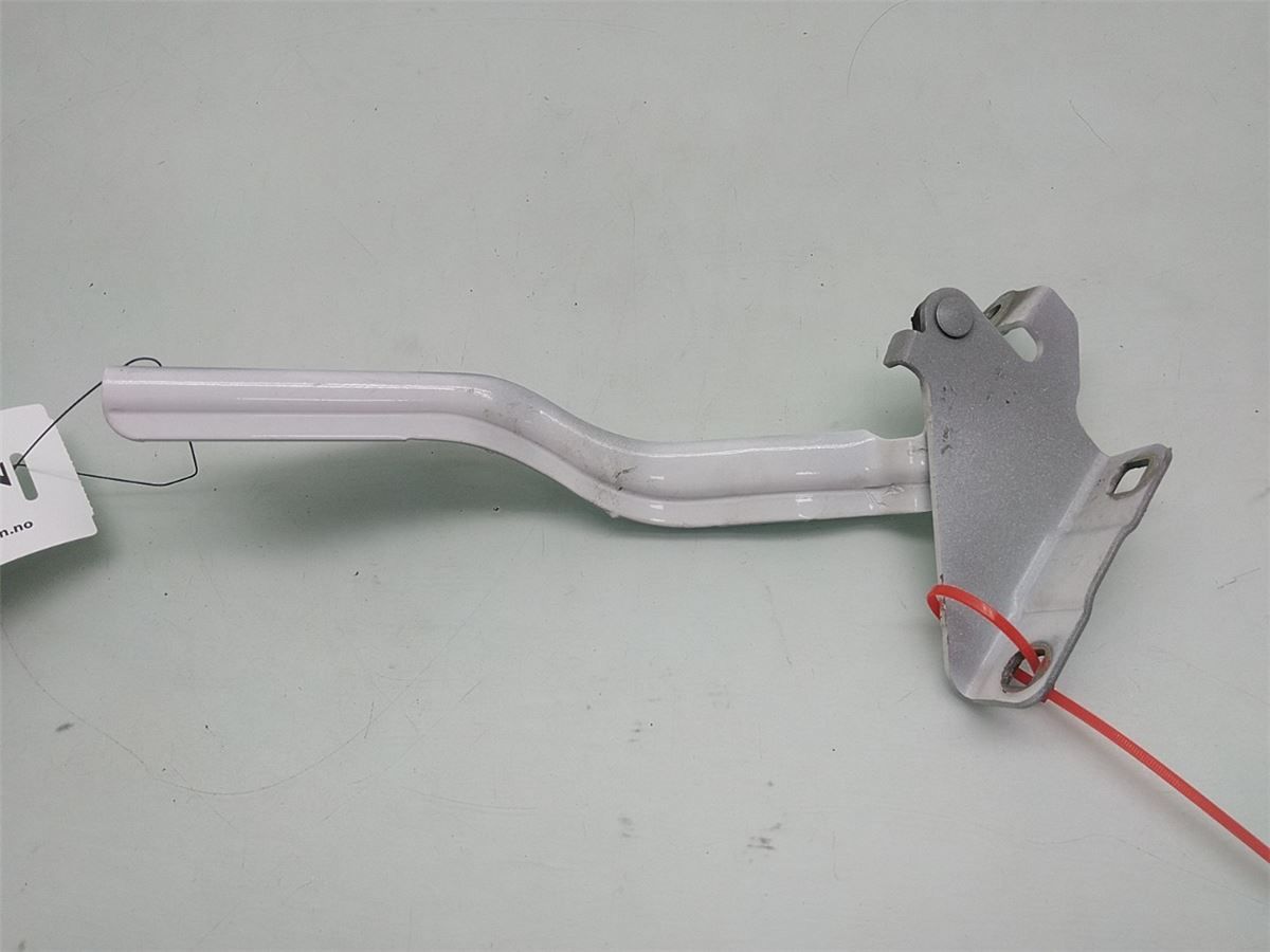 Panser Hengsel / Hengsler – bilde 3
