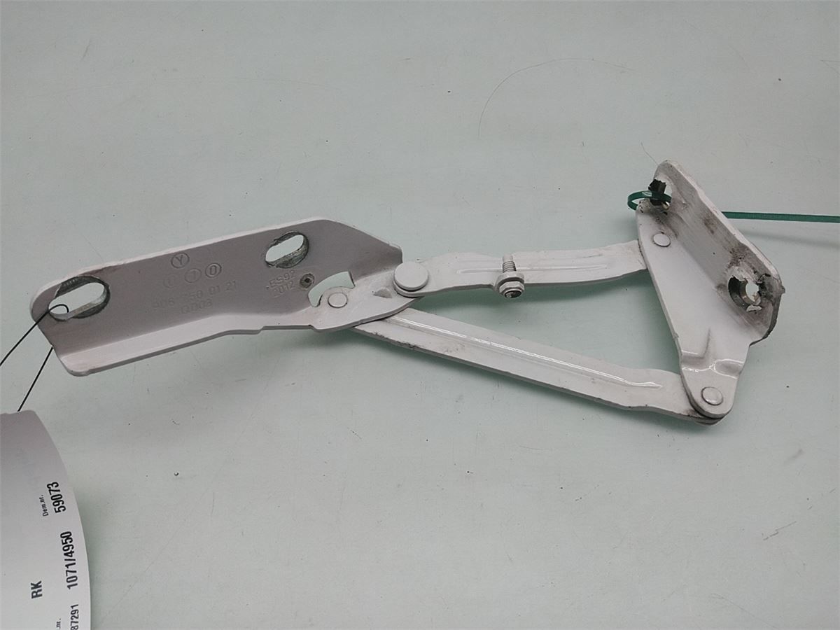 Panser Hengsel / Hengsler – bilde 1