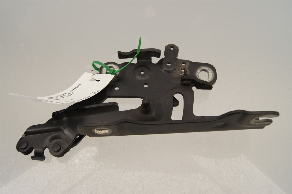 Panser Hengsel / Hengsler – bilde 2