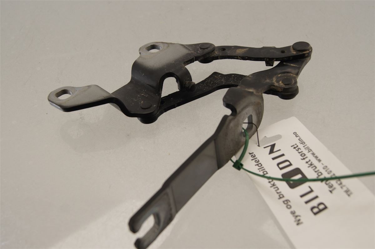 Panser Hengsel / Hengsler – bilde 2