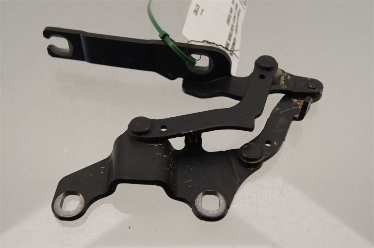 Panser Hengsel / Hengsler – bilde 3