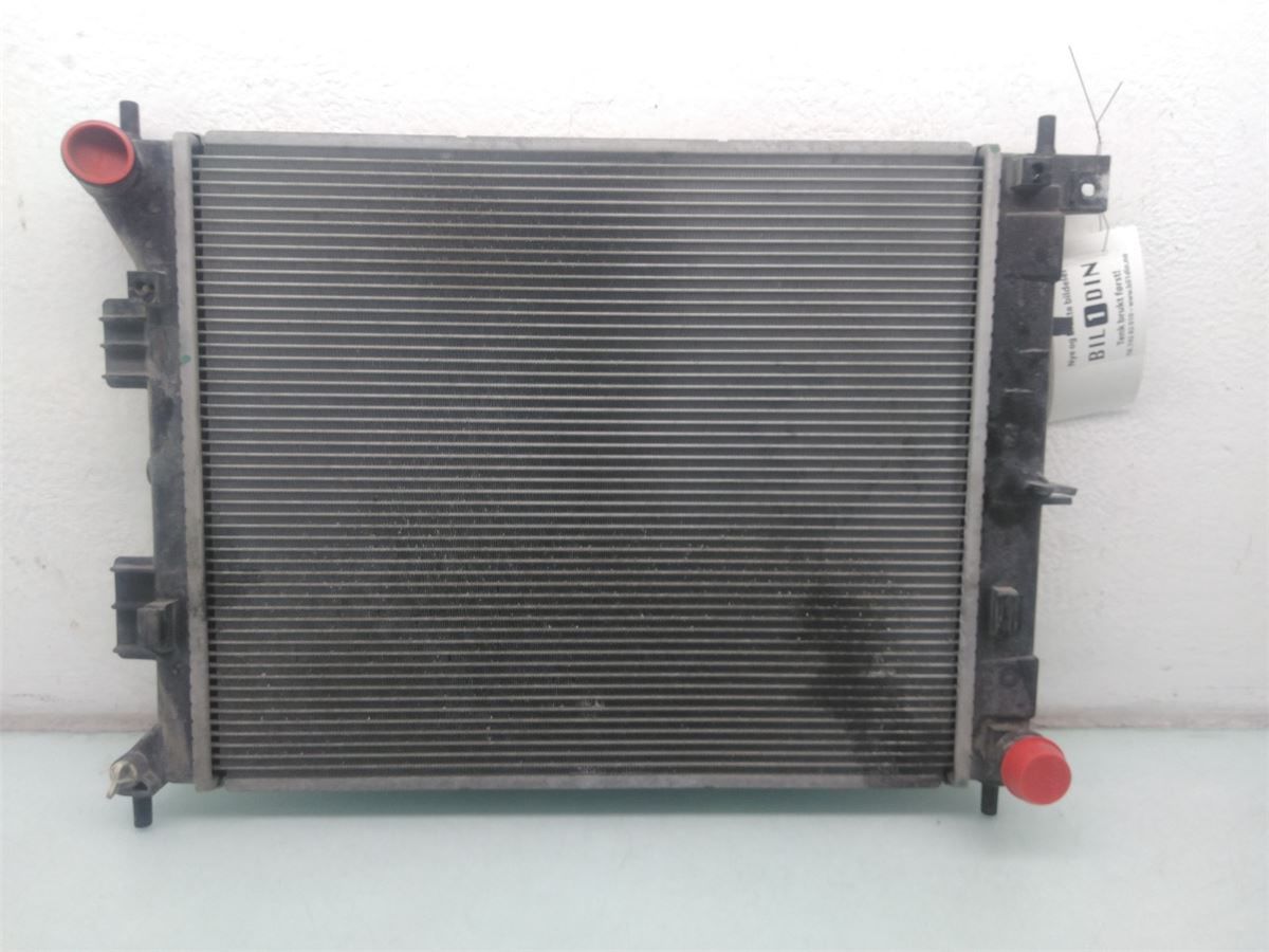 Radiator Manuell – bilde 1