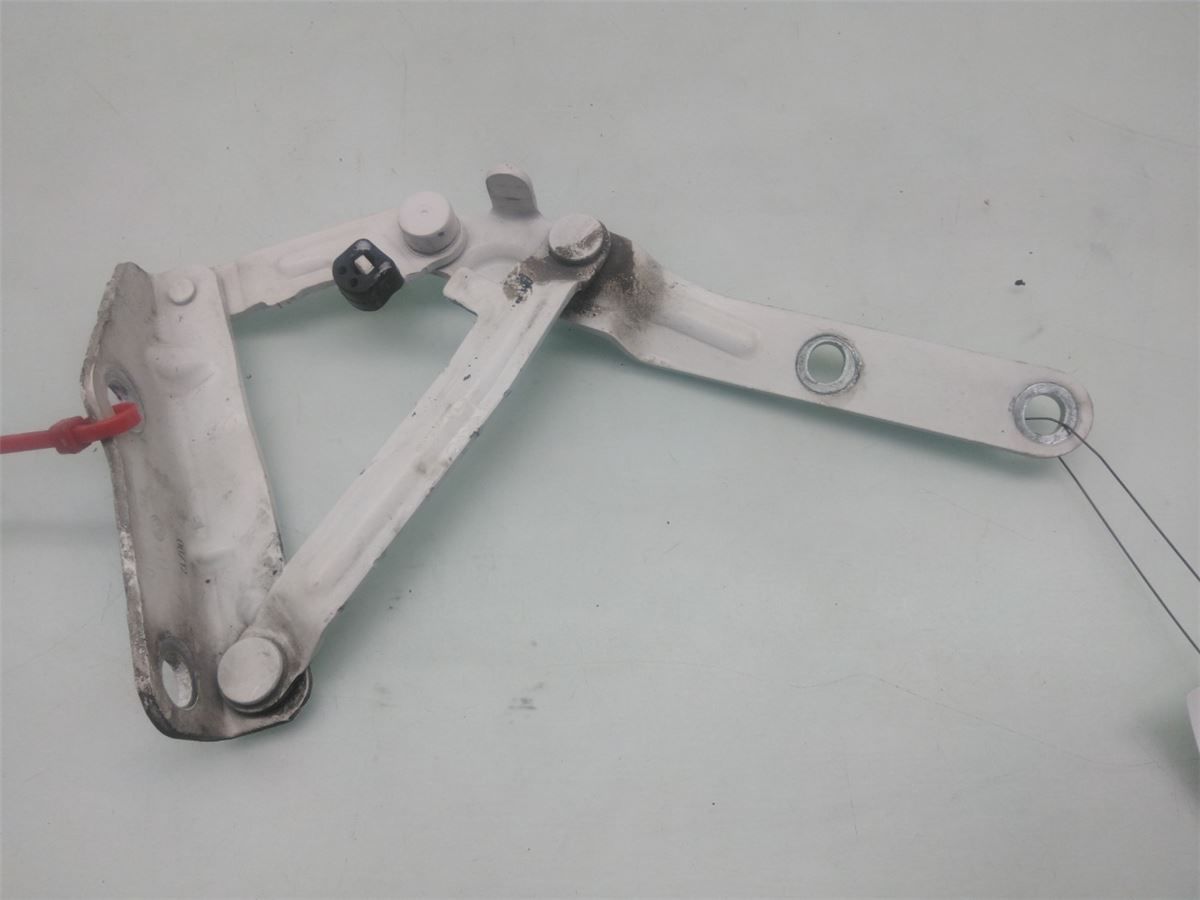 Panser Hengsel / Hengsler – bilde 2