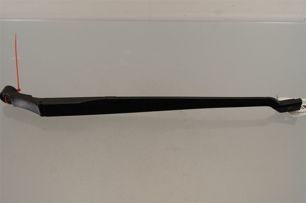 Viskerarm / Armer Frontrute – bilde 1