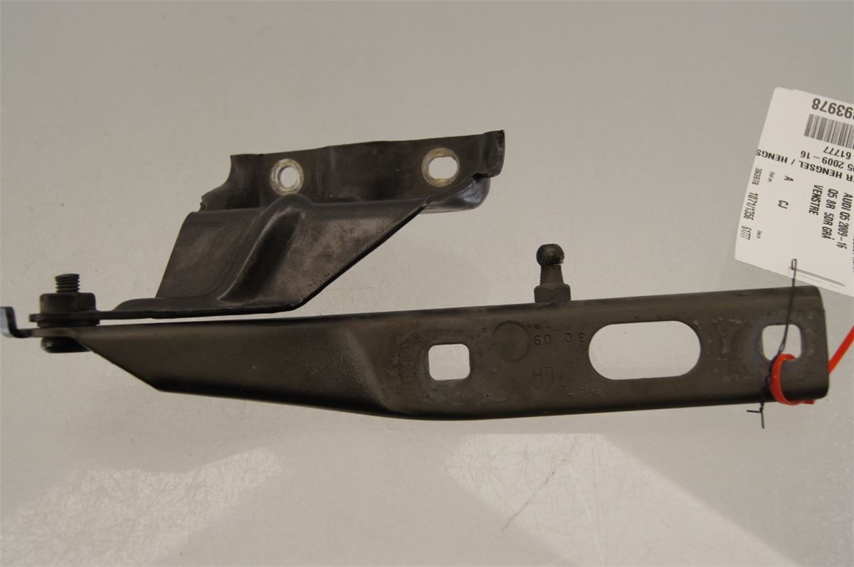 Panser Hengsel / Hengsler – bilde 1