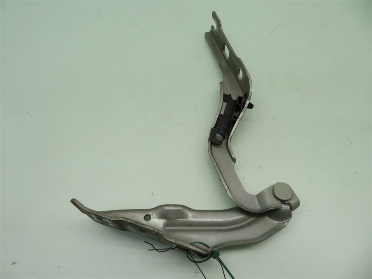 Panser Hengsel / Hengsler – bilde 1