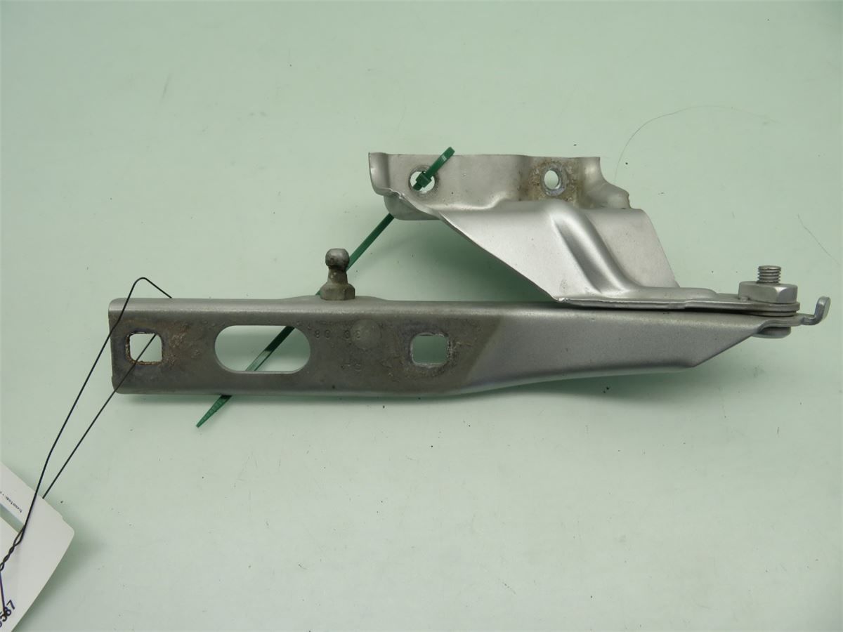 Panser Hengsel / Hengsler – bilde 1