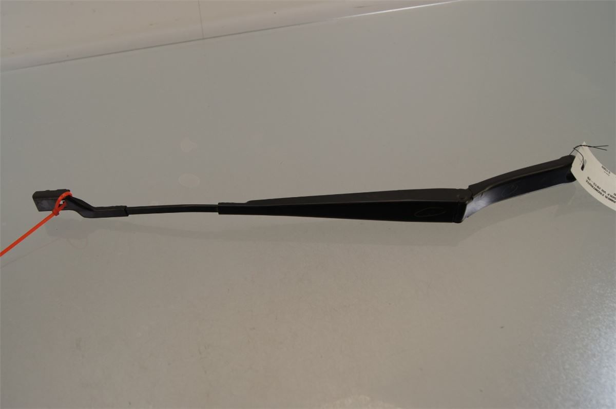 Viskerarm / Armer Frontrute – bilde 1