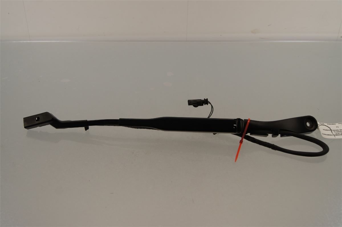 Viskerarm / Armer Frontrute – bilde 1