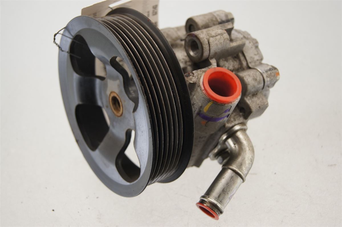 Servo Pumpe – bilde 1