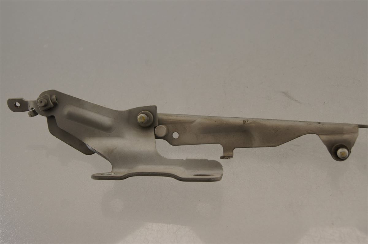Panser Hengsel / Hengsler – bilde 1