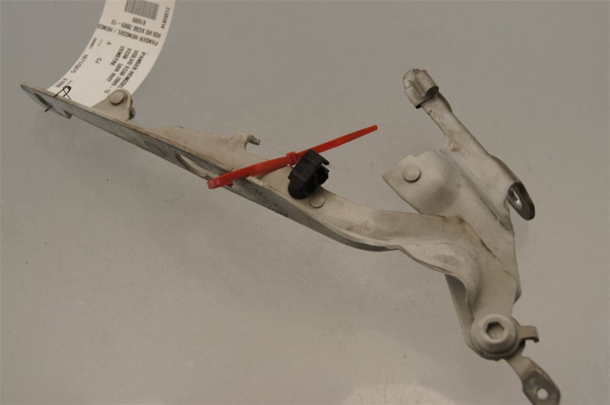 Panser Hengsel / Hengsler – bilde 2