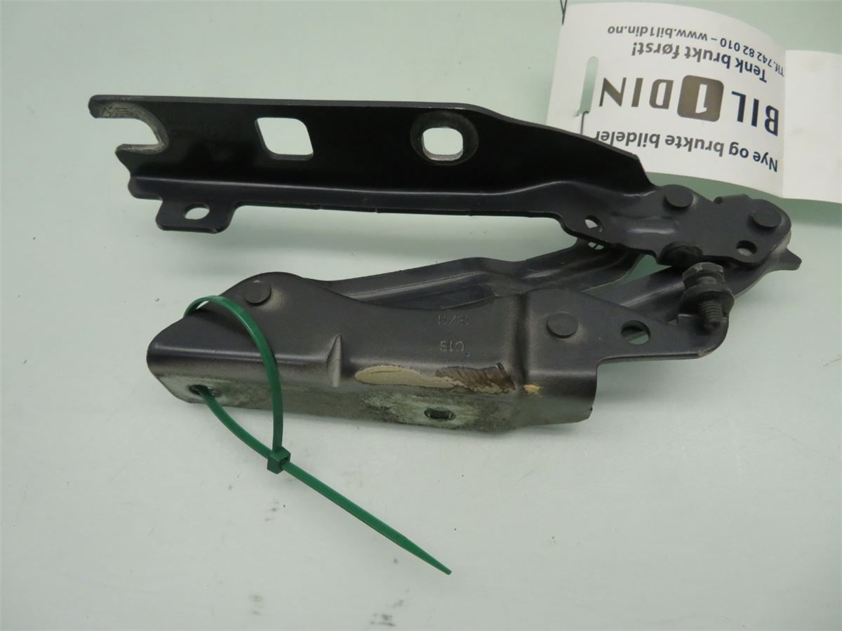 Panser Hengsel / Hengsler – bilde 2