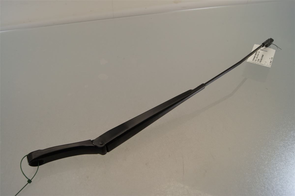 Viskerarm / Armer Frontrute – bilde 2