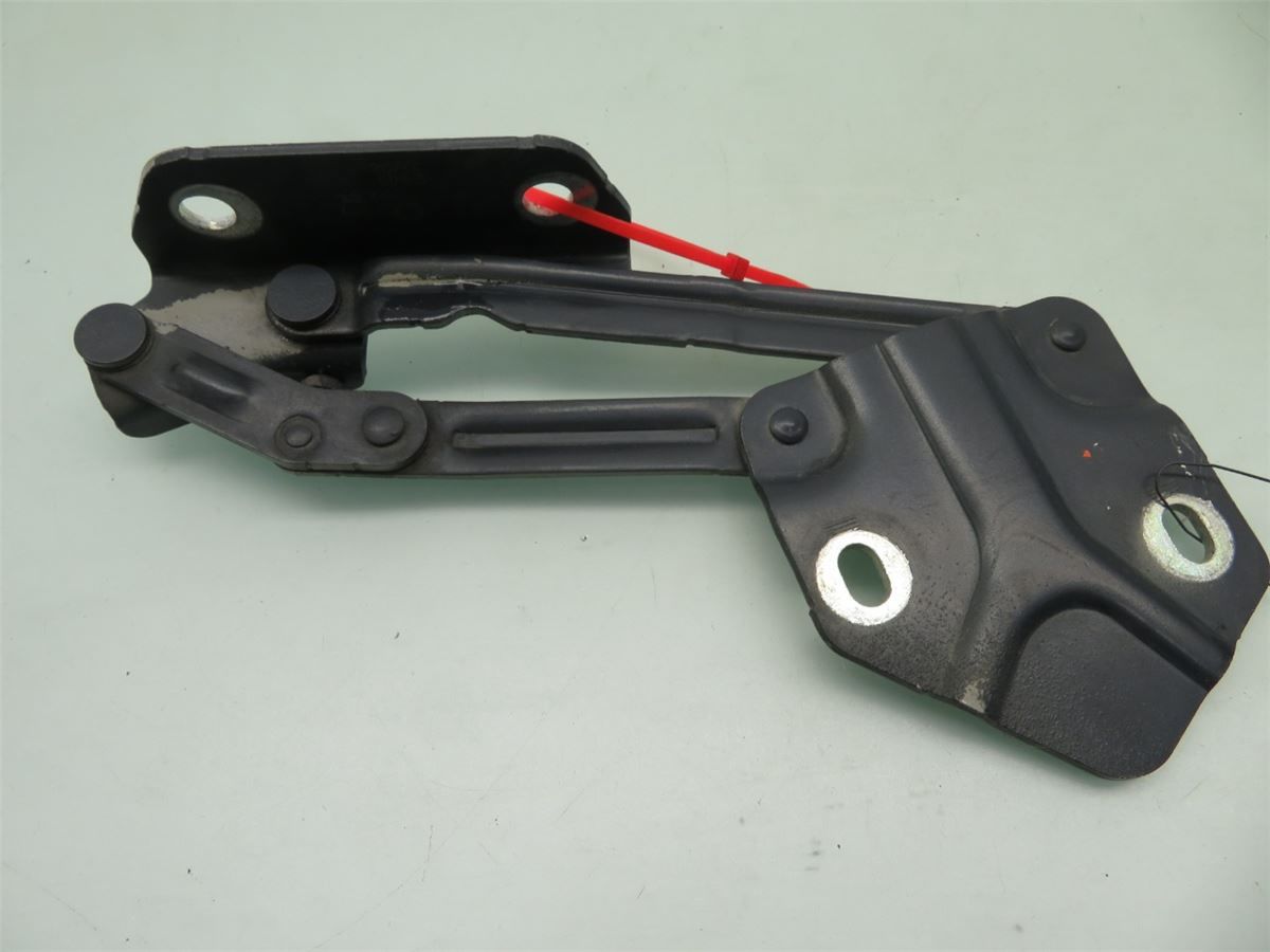 Panser Hengsel / Hengsler – bilde 2