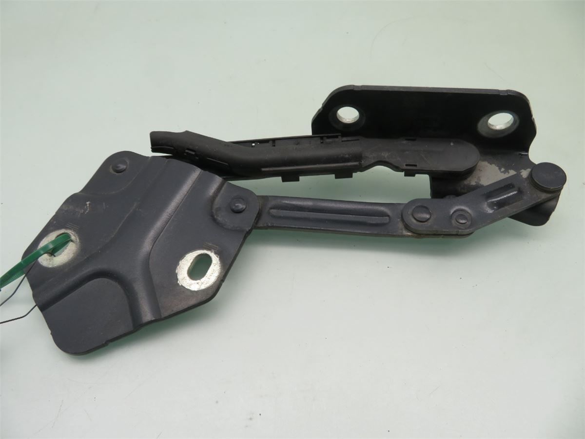 Panser Hengsel / Hengsler – bilde 1