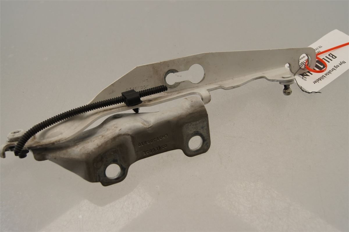 Panser Hengsel / Hengsler – bilde 1