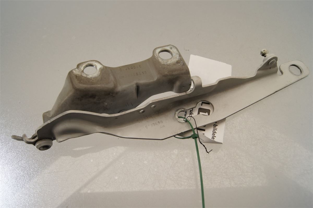 Panser Hengsel / Hengsler – bilde 2